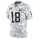 ＃18 Men's Joe Royer Arctic Camo Limited Cleveland Browns 2024 Salute to Service Jersey