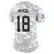 ＃18 Women's Joe Royer Arctic Camo Limited Cleveland Browns 2024 Salute to Service Jersey