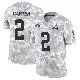 ＃2 Men's DeAndre Carter Arctic Camo Limited Cleveland Browns 2024 Salute to Service Jersey