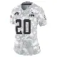＃20 Women's Jordan Wilkins Arctic Camo Limited Cleveland Browns 2024 Salute to Service Jersey