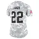 ＃22 Women's Nyheim Hines Arctic Camo Limited Cleveland Browns 2024 Salute to Service Jersey