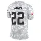 ＃22 Youth Nyheim Hines Arctic Camo Limited Cleveland Browns 2024 Salute to Service Jersey