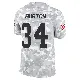 ＃34 Men's Michael Burton Arctic Camo Limited Cleveland Browns 2024 Salute to Service Jersey