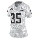 ＃35 Women's Raheim Sanders Arctic Camo Limited Cleveland Browns 2024 Salute to Service Jersey
