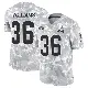 ＃36 Youth Trayveon Williams Arctic Camo Limited Cleveland Browns 2024 Salute to Service Jersey