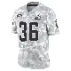 ＃36 Youth Wes Pahl Arctic Camo Limited Cleveland Browns 2024 Salute to Service Jersey