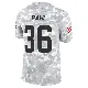 ＃36 Youth Wes Pahl Arctic Camo Limited Cleveland Browns 2024 Salute to Service Jersey