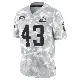 ＃43 Men's Nate Evans Arctic Camo Limited Cleveland Browns 2024 Salute to Service Jersey