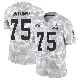 ＃75 Youth Joel Bitonio Arctic Camo Limited Cleveland Browns 2024 Salute to Service Jersey