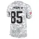 ＃85 Youth Jermaine Terry II Arctic Camo Limited Cleveland Browns 2024 Salute to Service Jersey