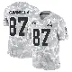 ＃87 Men's Sal Cannella Arctic Camo Limited Cleveland Browns 2024 Salute to Service Jersey