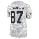 ＃87 Men's Sal Cannella Arctic Camo Limited Cleveland Browns 2024 Salute to Service Jersey