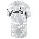 Men's Arctic Camo Cleveland Browns 2024 Salute To Service Performance T-Shirt